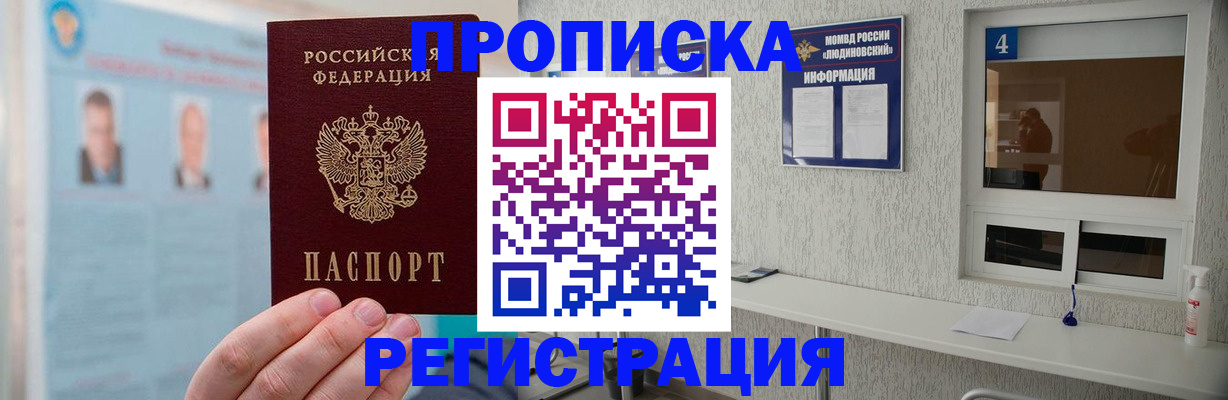 регистрация в Камышине